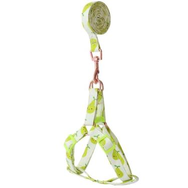 Imagem de HDKUW Peitoral para gatos com coleira, padrão de frutas, peitoral ajustável e leve para animais de estimação para gatos, filhotes, cães pequenos, abacate, G