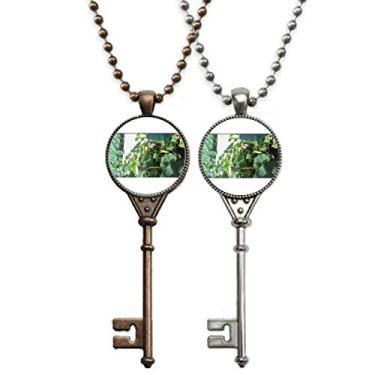 Imagem de OFFbb-USA Lago Lótus Piscina Art Deco Presente Fashion Chaveiro Colar Pingente Joias Decoração de Casal