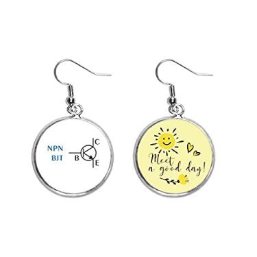 Imagem de Circuito de comutação física, fonte de alimentação, gota, sol, flor, brinco, bijuteria, moda