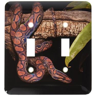 Imagem de 3dRose LLC lsp_86348_2 Rainbow Boa Snake, Floresta tropical amazon, Equador Sa07 Pox1359 Pete Oxford Interruptor duplo