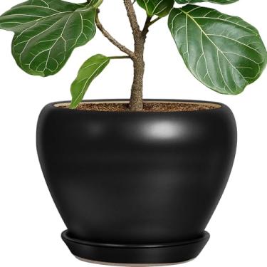 Imagem de Deep Dream Vaso de plantas de 25,4 cm - Vaso de cerâmica redondo para plantas de interior e exterior, vaso de flores grande com orifícios e bandejas de drenagem, preto