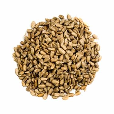 Imagem de Semente de Girassol Natural 500g – Armazém Seu Luiz