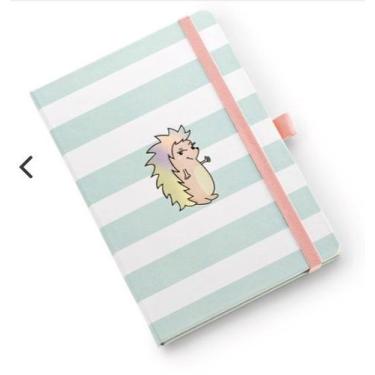 Imagem de Planner Papertalk ótima Midi Coleção Riccio Listras 1 ed - OTIMA EDITO