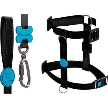 Imagem de Kit H 3 em 1 Com Peitoral H Para Cachorro, Guia Tradicional e QR Code Localizador (Neon Blue, P)