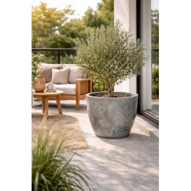 Imagem de Vaso Grande Planta Liso Marmorizado Polietileno Jabuticabeira Fruteira (Grafite)