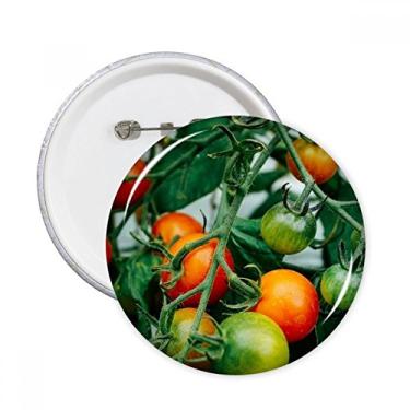 Imagem de Imagem de árvore frutífera fresca e temperada pinos redondos emblema botão decoração acessório 5 peças