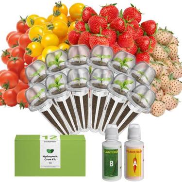 Imagem de Kit de Cápsulas de Sementes de Frutas inbloom para Horta Hidropônica c