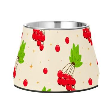 Imagem de Burbuja Tigela de aço inoxidável para comida e água para cães Red Berries, antiderrapante para cães médios e gatos, 590 ml