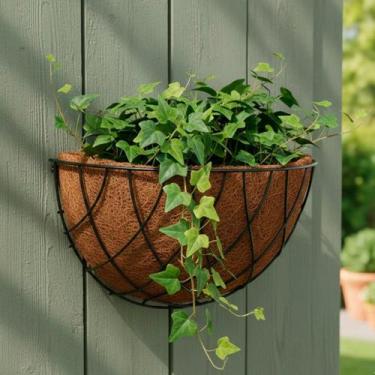 Imagem de Kit 2 a 7 Vasos de Parede para Plantas Fibra de Coco Meia Lua Flores S