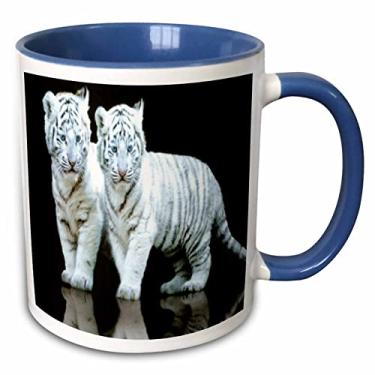 Imagem de 3dRose Caneca azul de dois tons de filhotes de tigre branco, 325 ml, multicolorida
