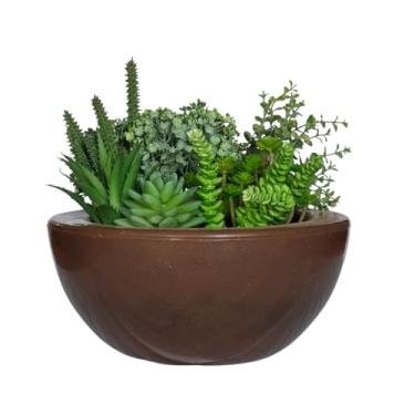 Imagem de Vaso Bacia Cuia Planta Decorativa Suculentas Rosa Do Deserto (Marrom cacau)