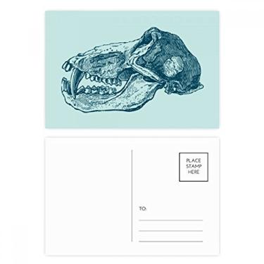 Imagem de Conjunto de cartão postal de aniversário com desenho de animal e caveira de animal