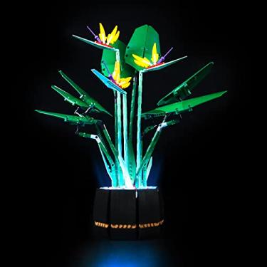 Imagem de MRTUTOS Kit De Iluminação Led Compatível Com Lego 10289 Ave Do Paraíso, Conjunto Construção Plantas Iluminadas Para Adultos, Ilumina Sua Coleção Botânica (Sem Modelos)