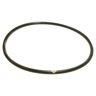 Imagem de Hayward CLX200K Anel de vedação para tampa de cloro para CL200/CL220, preto