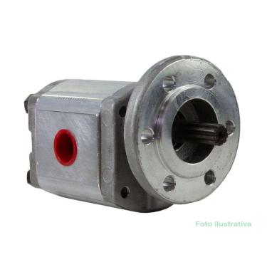 Imagem de Bomba De Torque Michigan 125C 75Iii Carcaça De Ferro