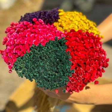 Imagem de Flor Sempre Viva Botão Jazida, Flores Secas Naturais para Decoração, Buquê Artesanal (LARANJA)