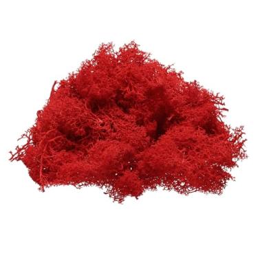 Imagem de Musgo de rena preservado, musgo falso de 113 g para artesanato, musgo seco artificial para decoração, artesanato, terrários, vasos de plantas, centros de mesa de jardim de fadas (vermelho)