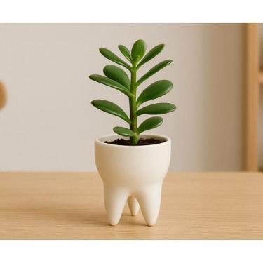 Imagem de Mini Vaso para Suculentas no formato de Dente Odonto Decoração - 15cm 