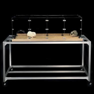 Imagem de GuineaLoft Gaiola de grade de acrílico (modelo-AB) - alta e grande, 1,2 m (C) x 0,6 m (L) x 0,4 m (A), gaiola aberta para porquinhos-da-índia, coelhos, codornizes de botão, ouriços, cães pequenos e