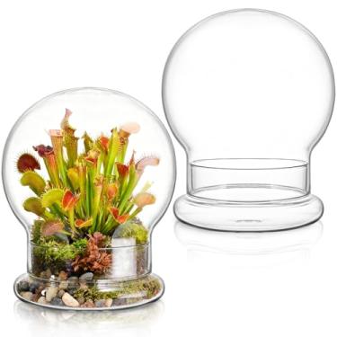 Imagem de Mezchi Pacote com 2 cúpulas de cloche redondas de vidro com furo de ar e base, plantador de terrário transparente de 11 × 16,6 cm, plantadores cloche, pote de sino de terrário, vidro de cúpula de