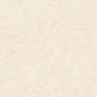 Imagem de Papel De Parede Concrete Concreto Bege 520835-c