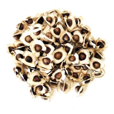 Imagem de 100 Sementes de Moringa Oleifera Para Plantio Orgânicas