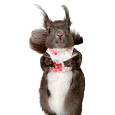 Imagem de Arreio de esquilo, conjunto de coleira para animais de estimação pequenos, roupas macias para uso ao ar livre para porquinho-da-índia chinchila esquilo furão (rosa B)