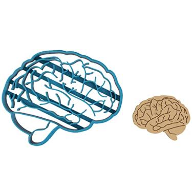 Imagem de Anatomia cerebral - córtex cerebral - corpo - caloso - fissura inter-hemisférica - grande fissura longitudinal - cabeça - células nervosas - gênio - cortador de biscoito/biscoito de açúcar/fondant