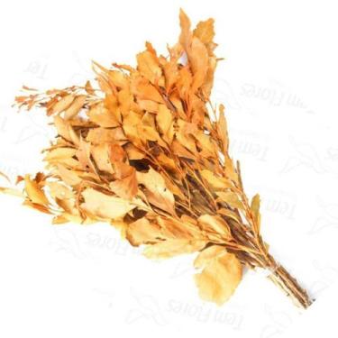 Imagem de Carne De Vaca Flor Desidratada Buque Flores Secas - Pense Flores, Lara