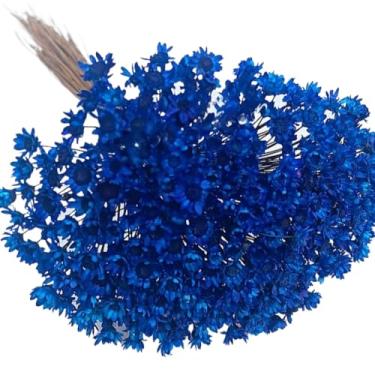 Imagem de Buquê de 300 Flores Secas Sempre Viva Mosquitinho – Mini Florzinhas Naturais para Arranjos e Decoração(Azul Royal)
