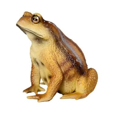 Imagem de Modelo De Sapo De Borracha Pintado À Mão Realista, Brinquedo Educativo