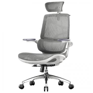 Imagem de Cadeira Ergonômica de Escritório SIHOO M57, Apoio Lombar Dinâmico, Braços 5D Ajustáveis, Encosto Malha Respirável, Reclinação 126°