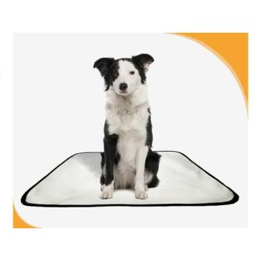 Imagem de Tapete pet lavável prático em oferta 1 un M1 70x100 Cm - SHELBY MODA P