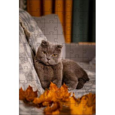 Imagem de Kit 4 Quebra-Cabeças de Gatos Fotos inteligentes Diversão Inclusiva de