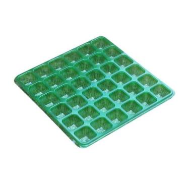 Imagem de Sementeira Isla 36 células Verde - 1 unidade