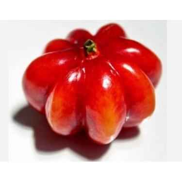Imagem de 50 Sementes Pimenta Pitanga  Produto Original - SEEDS
