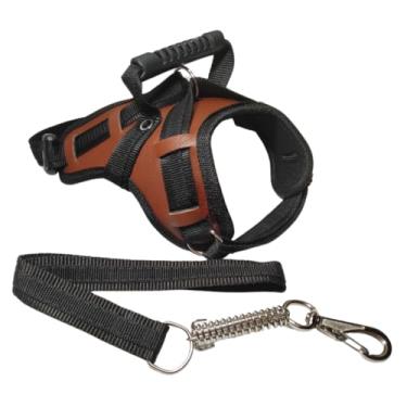 Imagem de Coleira Reforçada para Cães de Grande Porte - Pitbull, Rottweiler, Dogo Argentino e Husky + Guia Peitoral Resistente (MARROM,G)