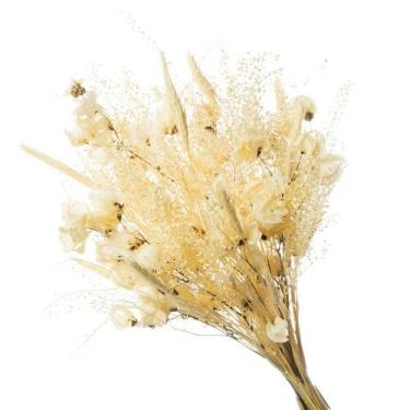 Imagem de Buque de Flor Secas Desidratada Bougainville Natural - Pense Flores