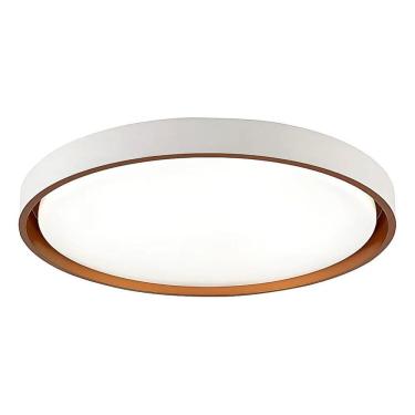 Imagem de Plafon Led Moderno Sobrepor 24W Redondo Tipo Montana Branco