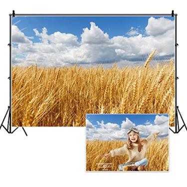 Imagem de DORCEV 1,8 x 1,2 m, outono, colheita, campo de trigo, fundo de fotografia de campo de fazenda, outono, ação de graças, céu azul, céu branco, chá de bebê, faixa de casamento, suprimentos, retratos de