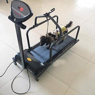 Imagem de Esteira para animais de estimação Esteira para animais para cães Suprimentos para cachorros Esteira para exercícios internos, equipamento de fitness para animais de estimação com tela de exi