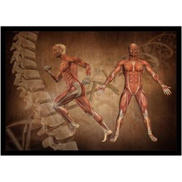 Imagem de Quadro Decorativo Medicina Fisiologia Músculos Corpo Humano Com Moldur