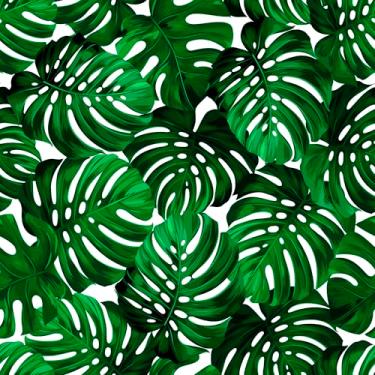 Imagem de Papel De Parede Folhas Costela De Adão Plantas Lavável 10m