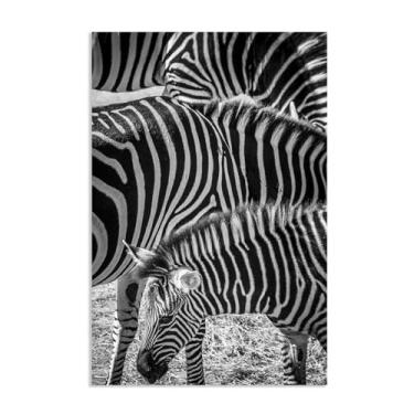 Imagem de SDYJ6GSW Imagens de animais em preto e branco para decoração de parede, rebanho de zebra, animais pretos e brancos, impressão de imagem de cavalo, pintura de arte de parede, zebra, decoração de parede