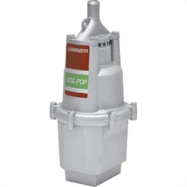 Imagem de Bomba Agua Lorenzetti Submersa Bsl - Pop 220V - Marca não Definida