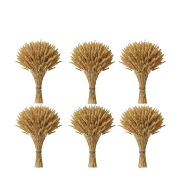 Imagem de Enfeites Para Festa Junina - 400 Hastes De Trigo Seco Natural Para DecoraçãO De Mesa, Arranjo RúStico Elegante Para Arraiá (06 Maços (240 Hastes))