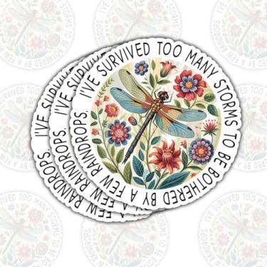 Imagem de (3 peças) Adesivo I've Survived Too Many Storms to Be Bothered by A Few Raindrops – Decalque de vinil inspirador para laptop, garrafa de água, copo, presente de carro para amantes de resiliência, fãs