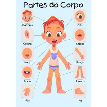 Imagem de Banner Educativo em Lona Partes do Corpo 70x55cm - Core Decore