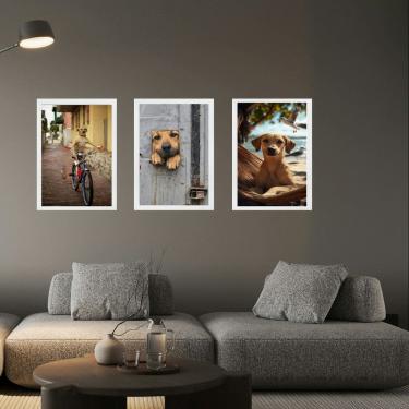 Imagem de Kit 3 Quadros Decorativos Cachorro Caramelo 45x34cm - com vidro