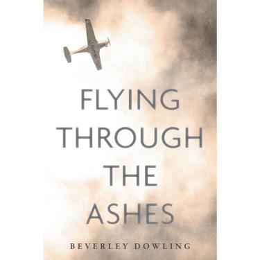 Imagem de Flying Through the Ashes